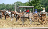 Crossroads Donkey Rescue
